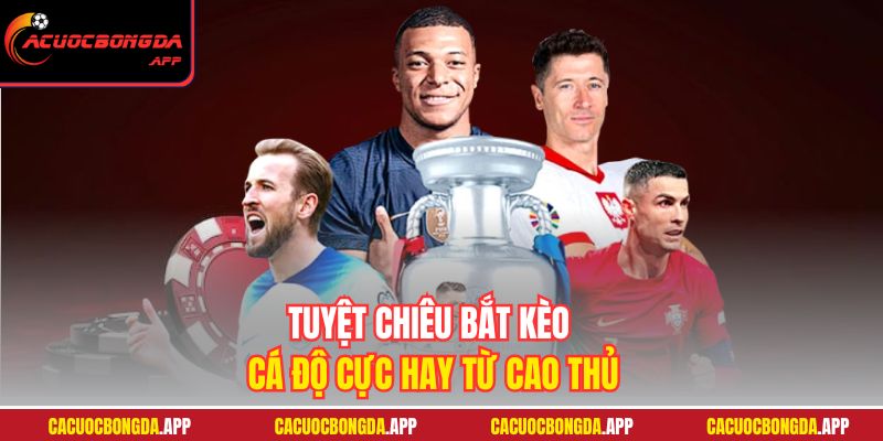 Tuyệt chiêu bắt kèo cá độ cực hay từ cao thủ